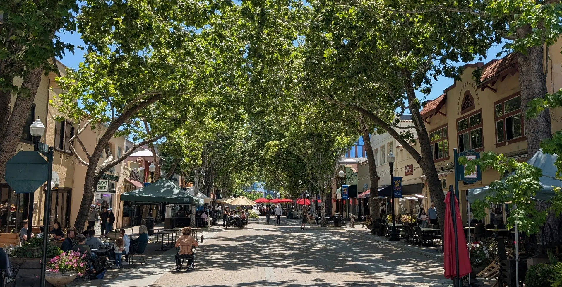 Sunnyvale, California neighborhood and lifestyle